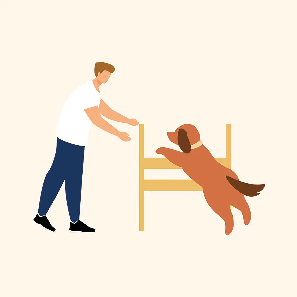 Gedragscoach Helpmijnhond