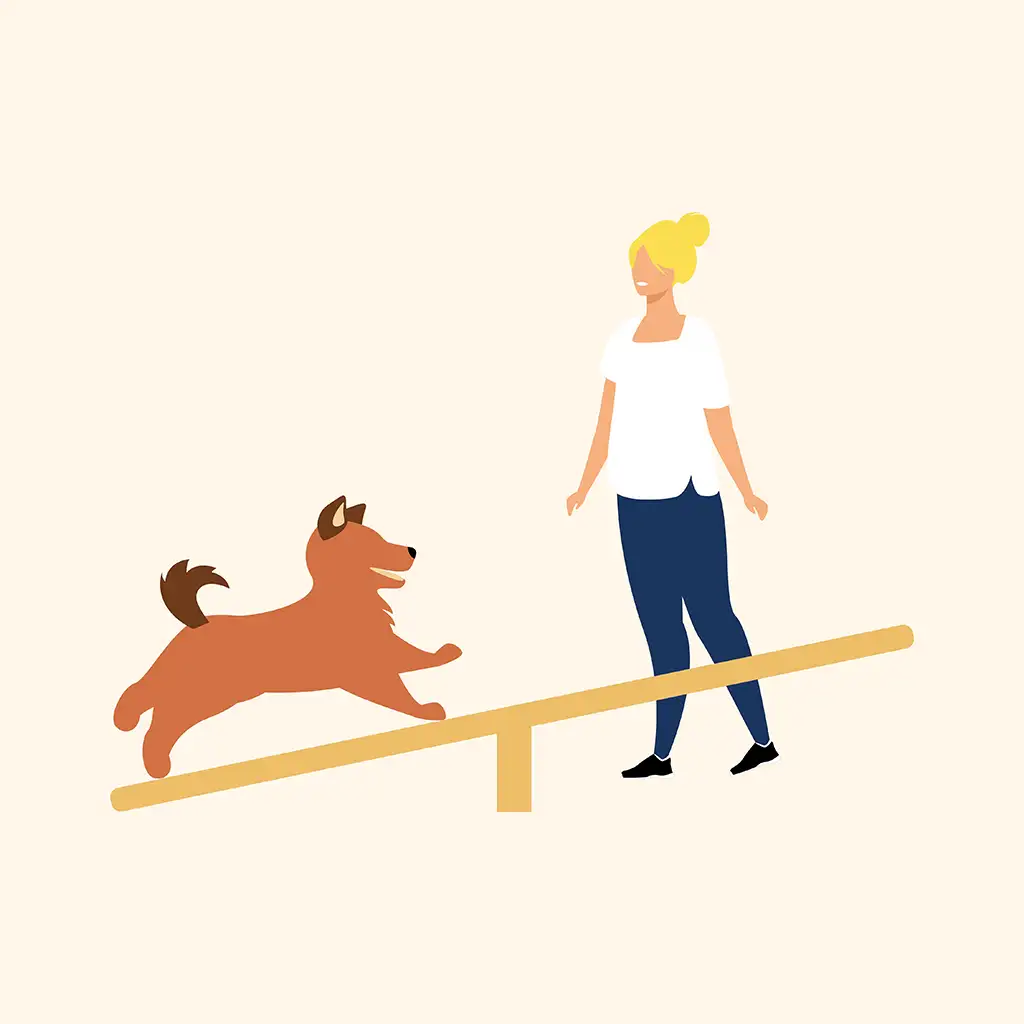 Anita Oranje Hondengedragstherapie