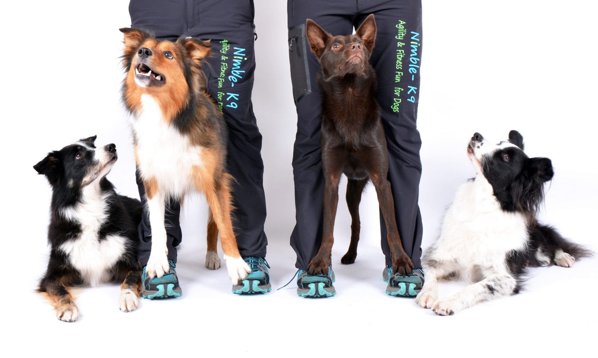 Nimble-K9