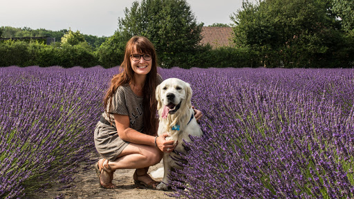Maddie's Dog Academy Ghent
