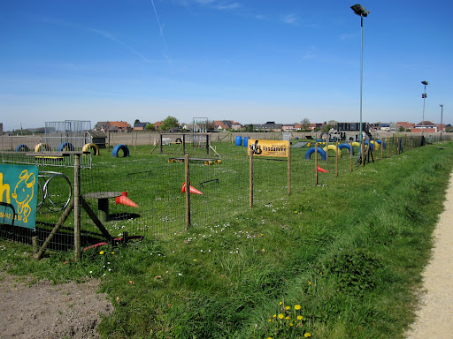 Hondenschool DTV - De Trouwe Vriend