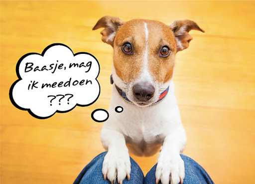 Hondenmanieren, puppy training, hondentraining & gedragsproblemen