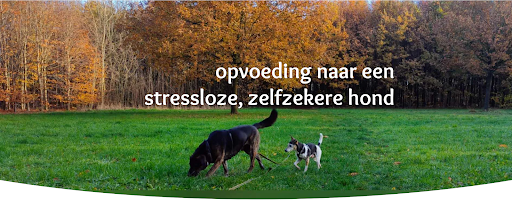 DogGuidance