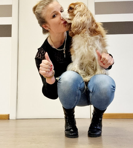 Makoto - A dog's story