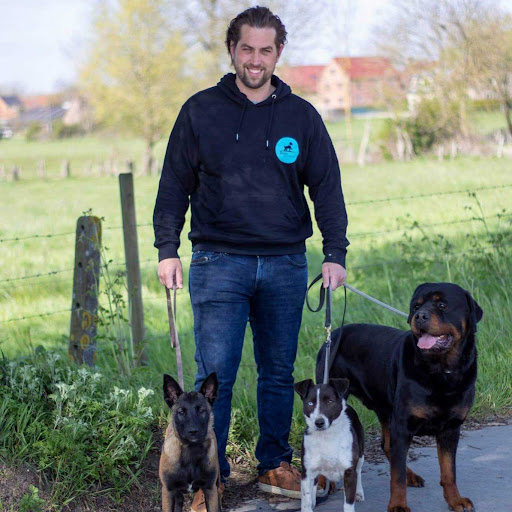 Dogs in balance
