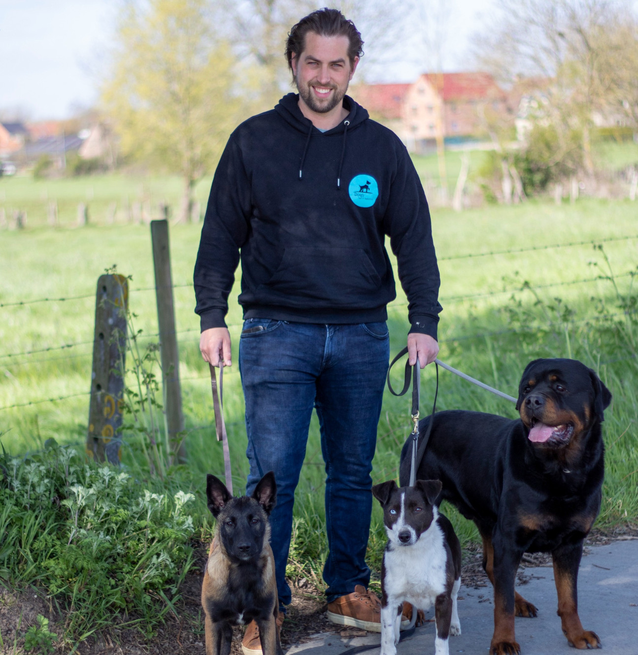 Dogs in balance