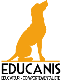 Educanis