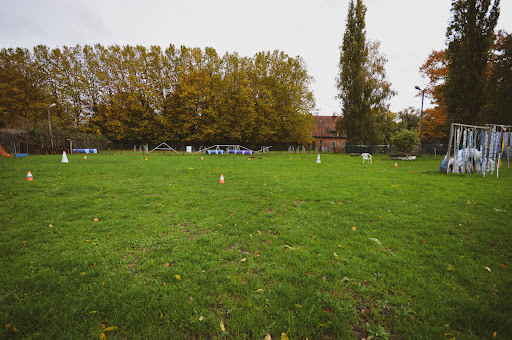 Club Cynologique St Joseph / CKCSJ Melsbroek asbl-vzw / Club Canin Bruxelles