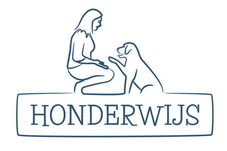 Honderwijs - Hondentraining op maat