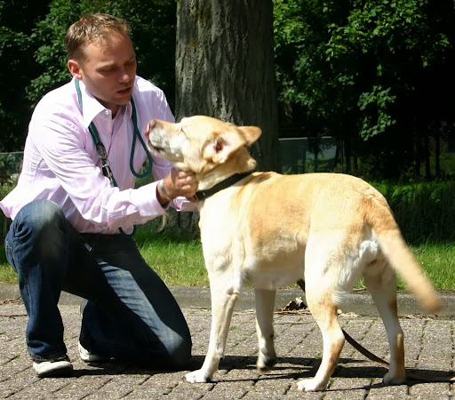 DogPartner Belgium