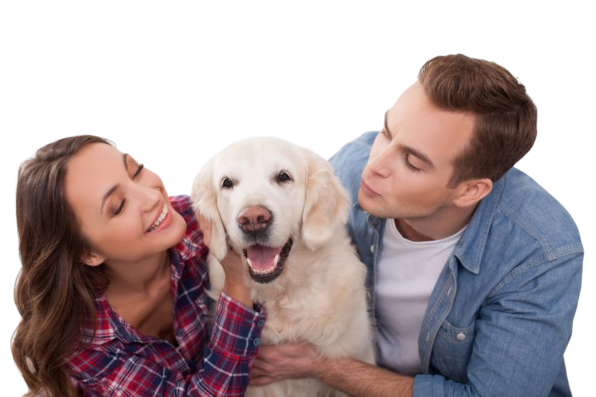 DogPartner Belgium