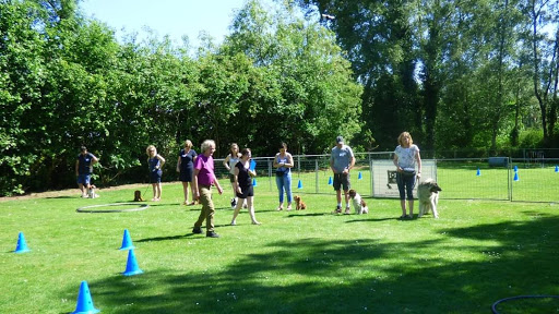 Hondeschool de Pillowrijn vzw Aalter