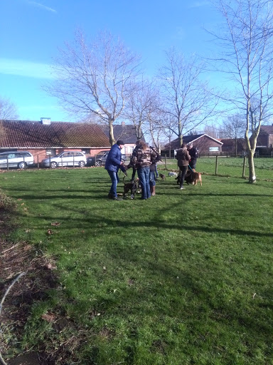 Hondenschool KV Houtland