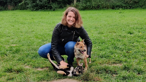 DogtorEvelyn