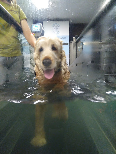 Hydro-D'o
