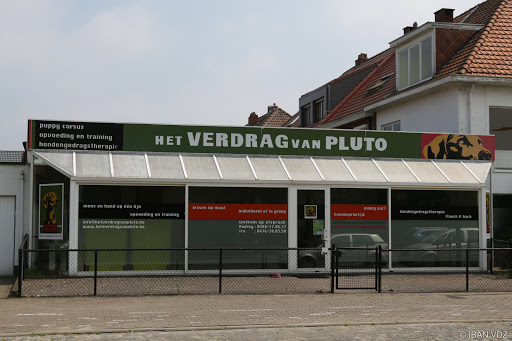 Het Verdrag van Pluto