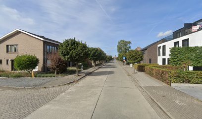 Sylvie Claeys Hondencoach - Hondentrainer Gedragstherapie - Hondenschool (privé)