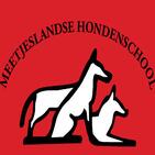 MEETJESLANDSE HONDENSCHOOL
