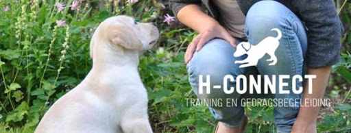 Hondentrainingscentrum H-Connect