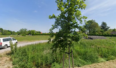 Hondenschool Filos Moerbeke