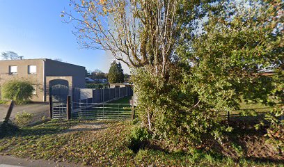 Hondenschool Adler Dogs