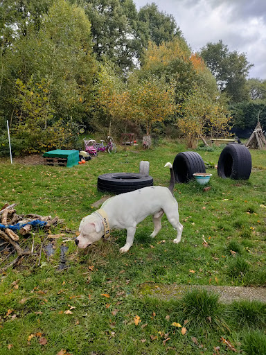 Gedragscoach Sabrina Allegria Snuffeltuin Scent