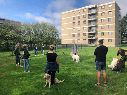 Jond De hondenleerkracht