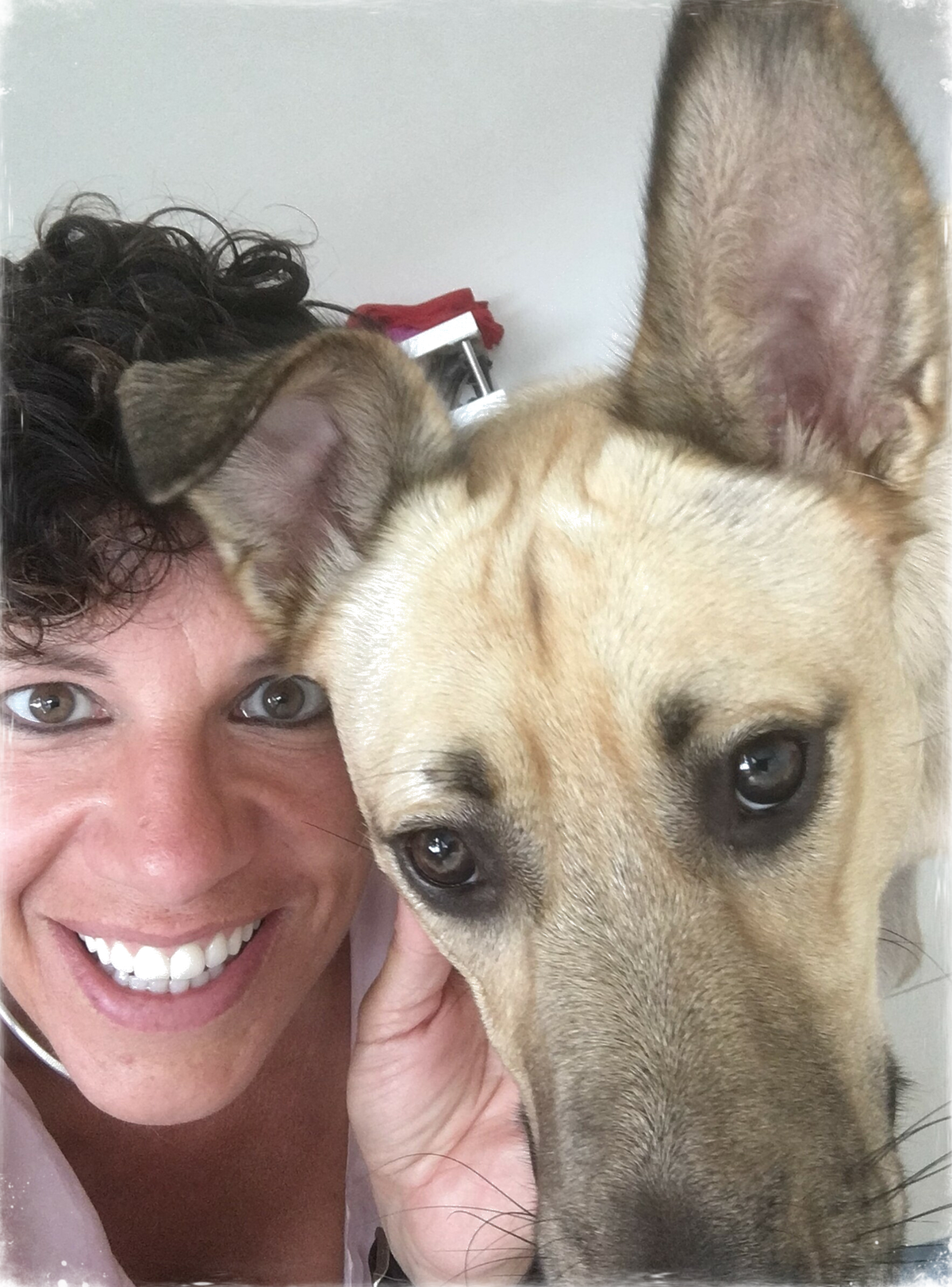 IdogU - Meet your dog