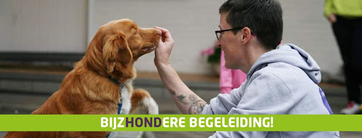 Van de Maanwacht