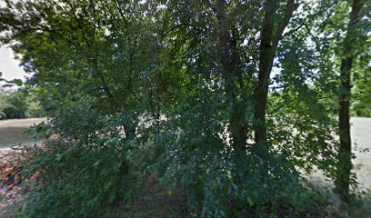 limburgse sheepdog - clubterrein