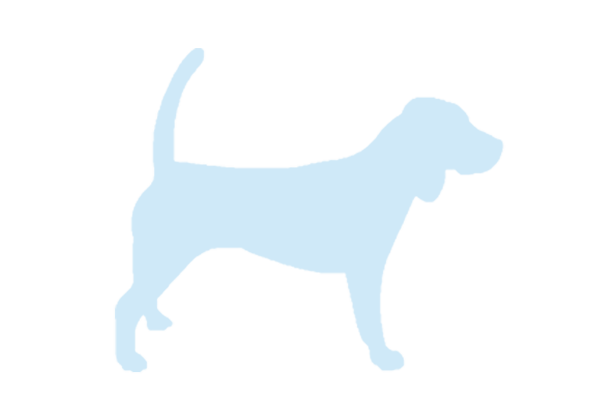 AniLou Dogtraining - Hondentraining & services