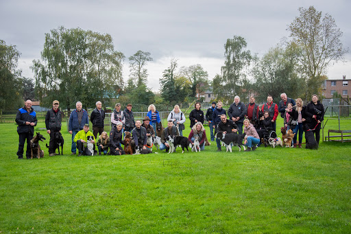 Hondenschool Geetbets Cerberos