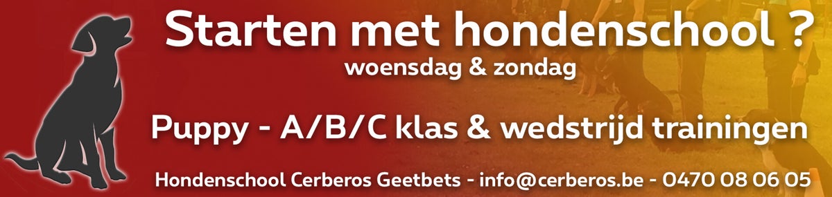 Hondenschool Geetbets Cerberos