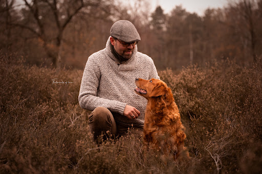 Dogs & dreams