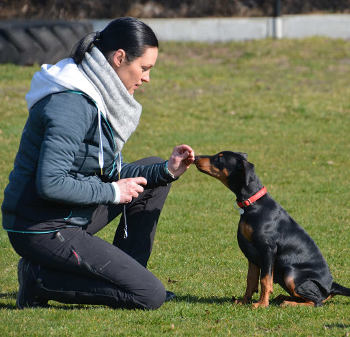Dog Coaching Marijke