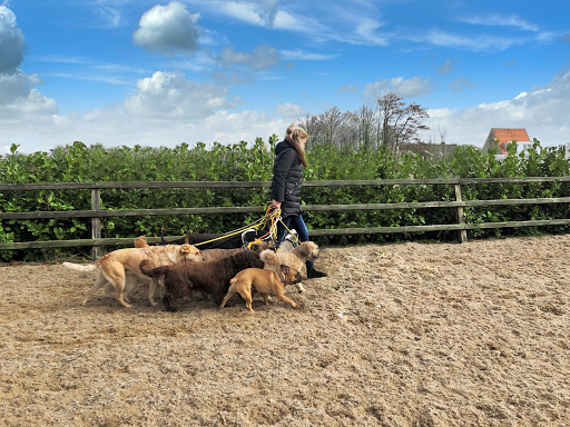 Hondengedragsdeskundige Angelique Prins