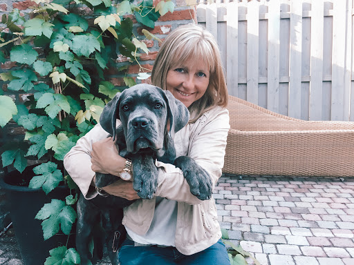 An Wesenbeek - The Dog Academy