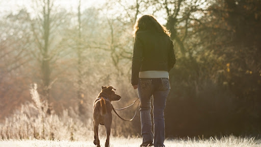 K9 Campus