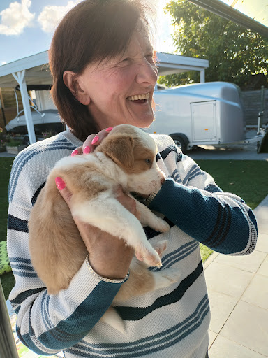 DG&T - De Gendt Walter