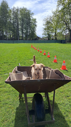 HS De Rakkers Arendonk