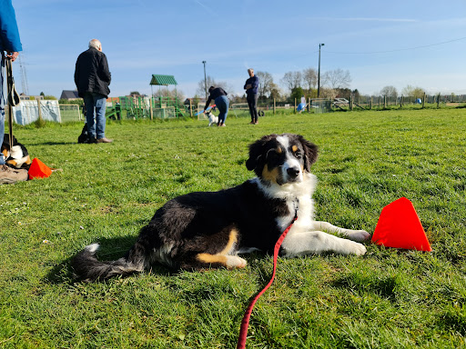 T.H.V.Midden Brabant, Enseignement