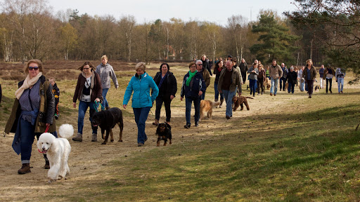 't Hondenclickske Olen HCO vzw