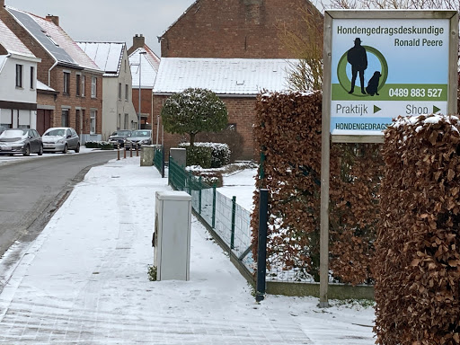 Hondengedragsdeskundige Peere Ronald