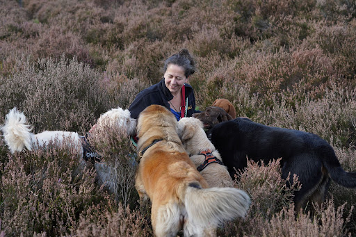 Dogversations