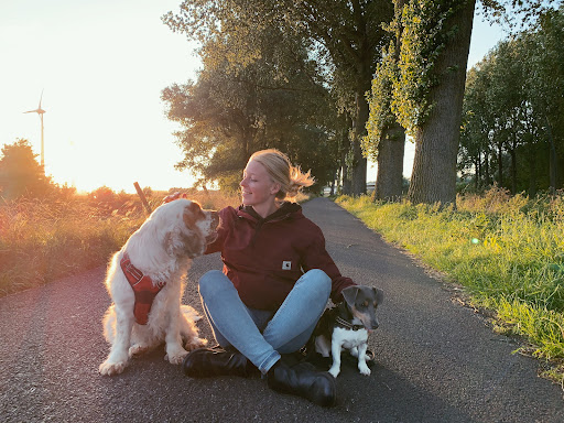 Blue Jack Dog Training