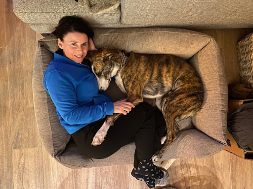 Huisdierentherapie.be - Gedragstherapeut voor honden en katten