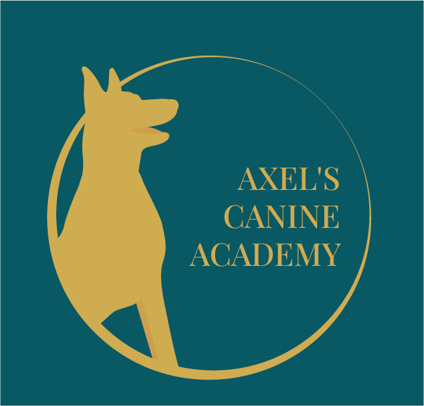 Axel's Canine Academy