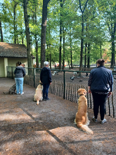 Trainingsschool AW Lommel