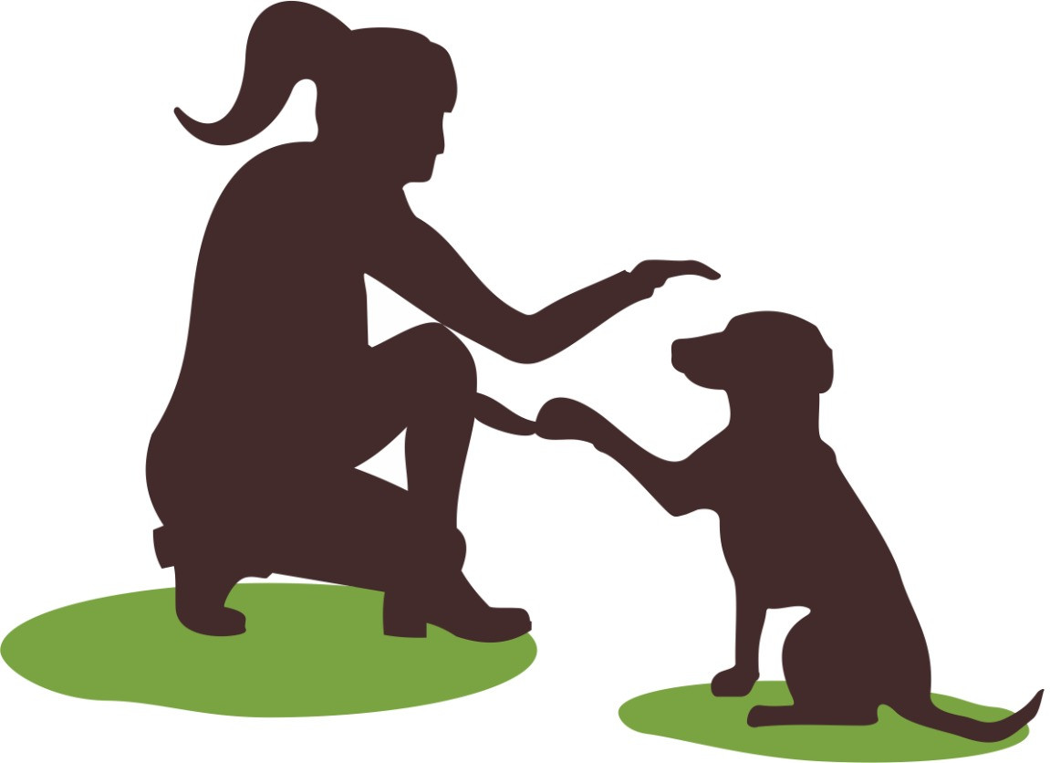 DogMind Massage