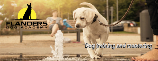 Flanders dog academy